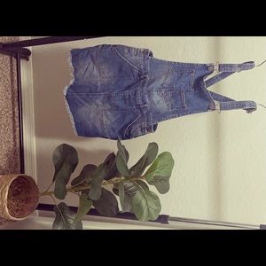 Refuge Raw Hem Denim Overalls